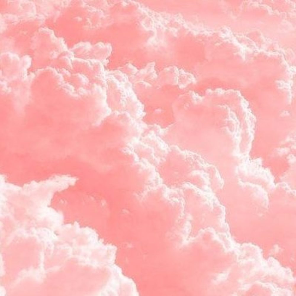 Meet your Posher, Marie